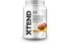 Xtend BCAA 90食 マンゴー 1278g